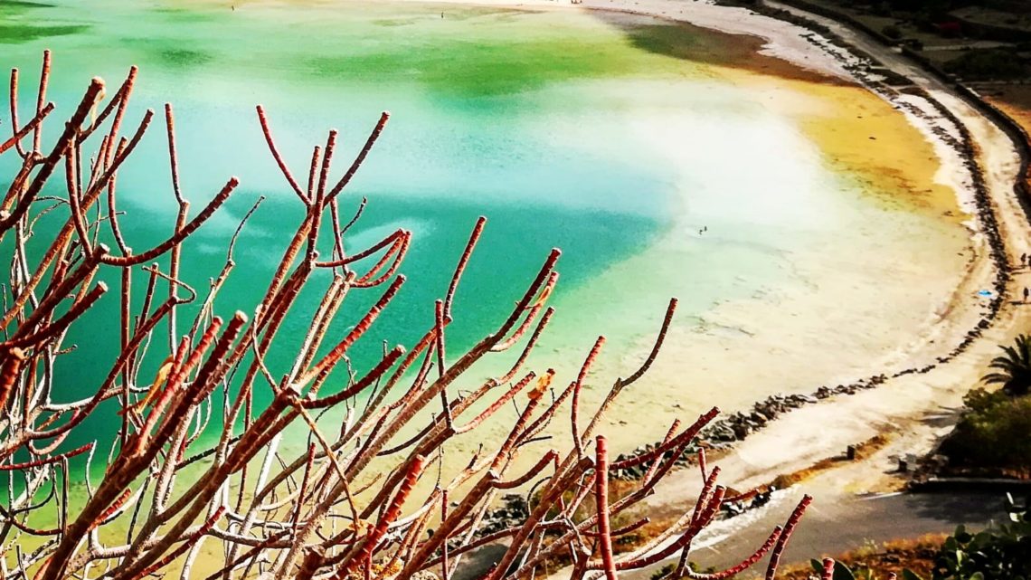 fenicotteri Pantelleria - Foto di Tommaso Brignone