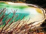 fenicotteri Pantelleria - Foto di Tommaso Brignone