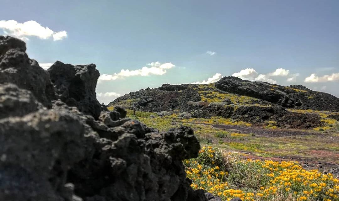 Pantelleria - Foto di Tommaso Brignone