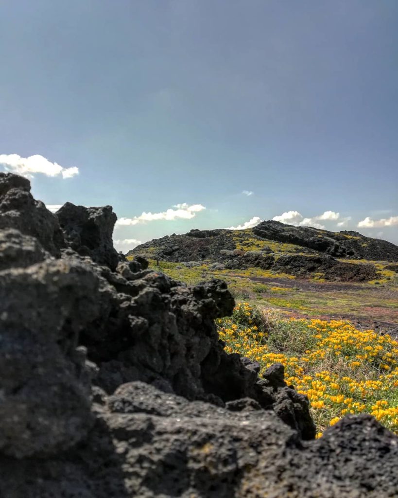 Pantelleria - Foto di Tommaso Brignone