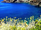 Pantelleria - Foto di Tommaso Brignone