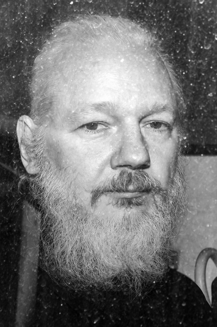La storia di Julian Assange e la verità della piccola profetessa del lago