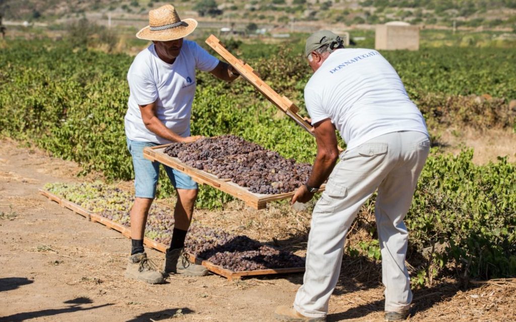 viddrano pantelleria