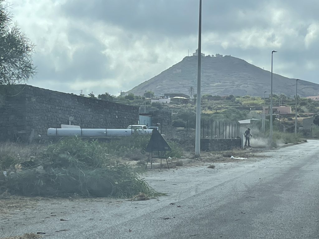 diserbo pantelleria