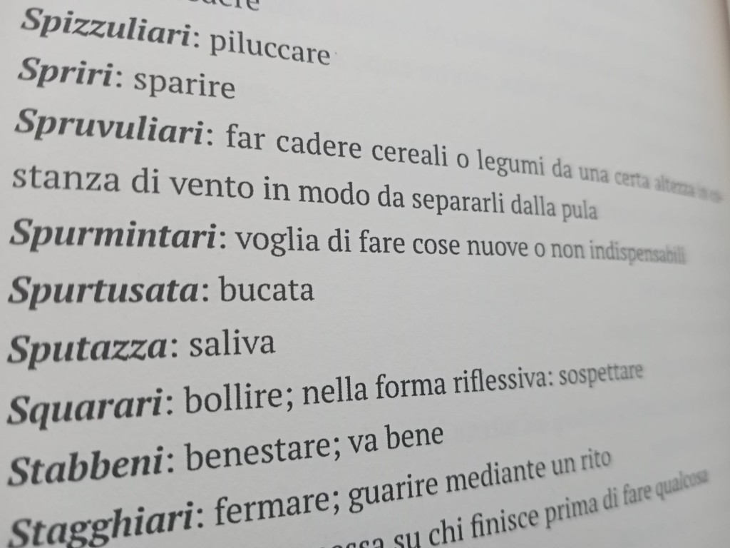 Foto di una pagina d'appendice di uno dei libri: ci sono delle parole in Siciliano e la corrispondente traduzione in Italiano.