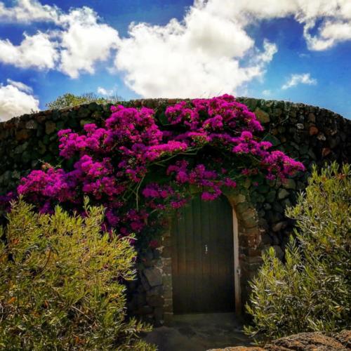 Pantelleria - Foto di Tommaso Brignone