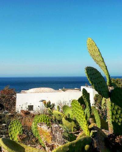 Pantelleria - Foto di Tommaso Brignone