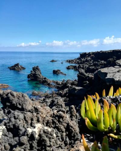 Progetto green Pantelleria - Foto di Tommaso Brignone