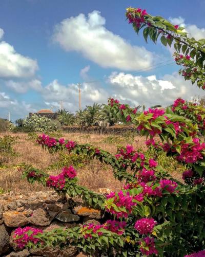 Pantelleria di Tommaso Brignone 1