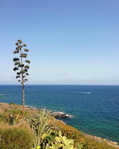 Pantelleria di Tommaso Brignone 160