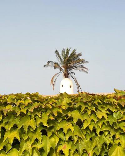 Pantelleria di Tommaso Brignone 170