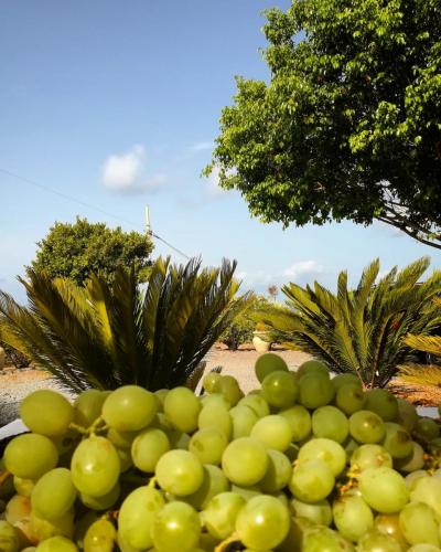 Pantelleria di Tommaso Brignone 172