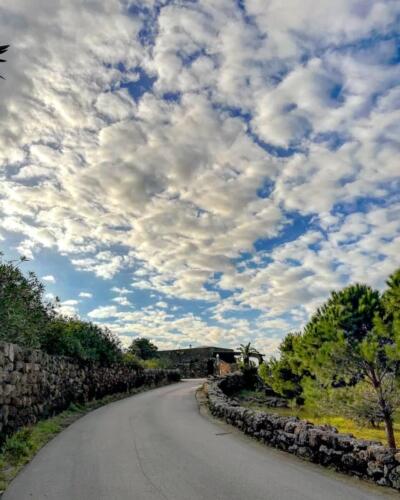 Pantelleria di Tommaso Brignone129