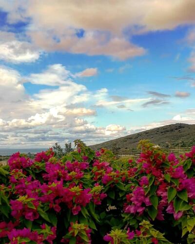 Pantelleria di Tommaso Brignone131