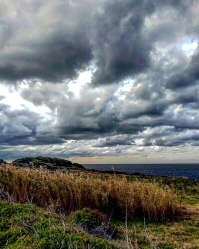 Pantelleria di Tommaso Brignone143