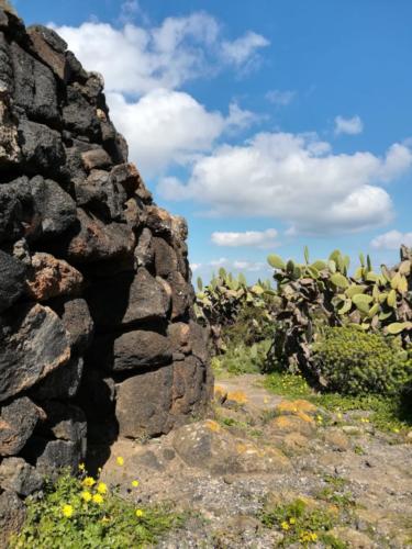 Pantelleria - Foto di Tommaso Brignone