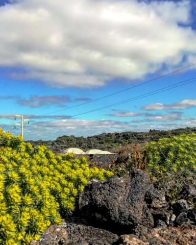 Pantelleria - Foto di Tommaso Brignone