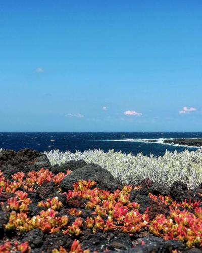 Pantelleria - Foto di Tommaso Brignone