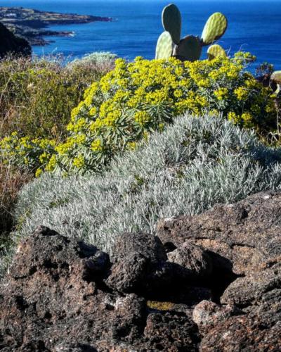 Pantelleria - Foto di Tommaso Brignone