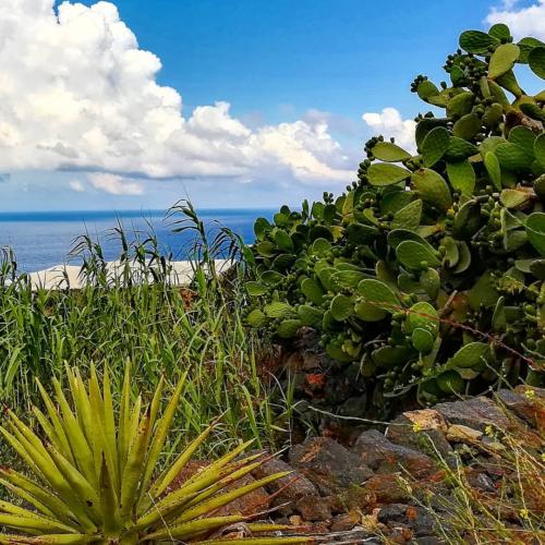 Pantelleria - Foto di Tommaso Brignone