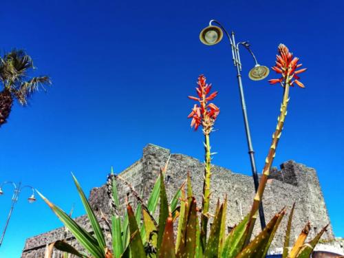 Pantelleria - Foto di Tommaso Brignone