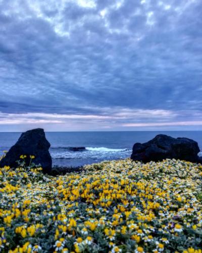 Pantelleria - Foto di Tommaso Brignone