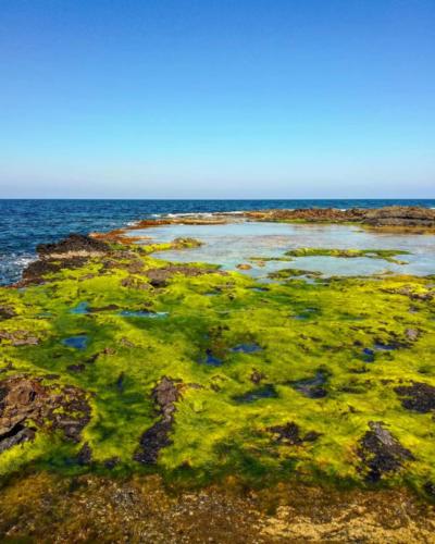 Pantelleria - Foto di Tommaso Brignone