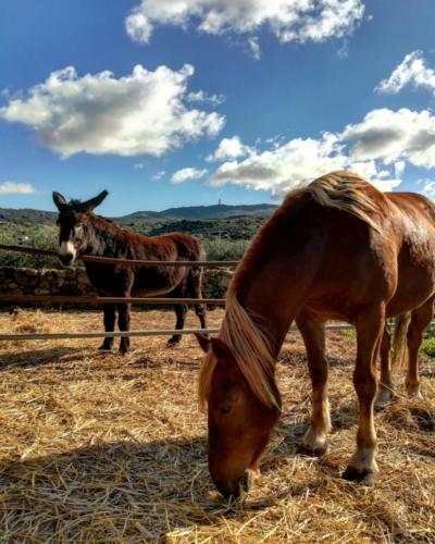 Pantelleria - Foto di Tommaso Brignone