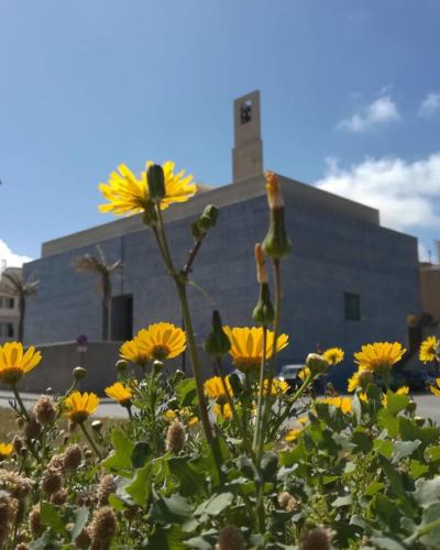 Pantelleria - Foto di Tommaso Brignone