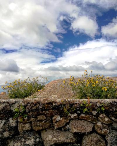 Pantelleria - Foto di Tommaso Brignone